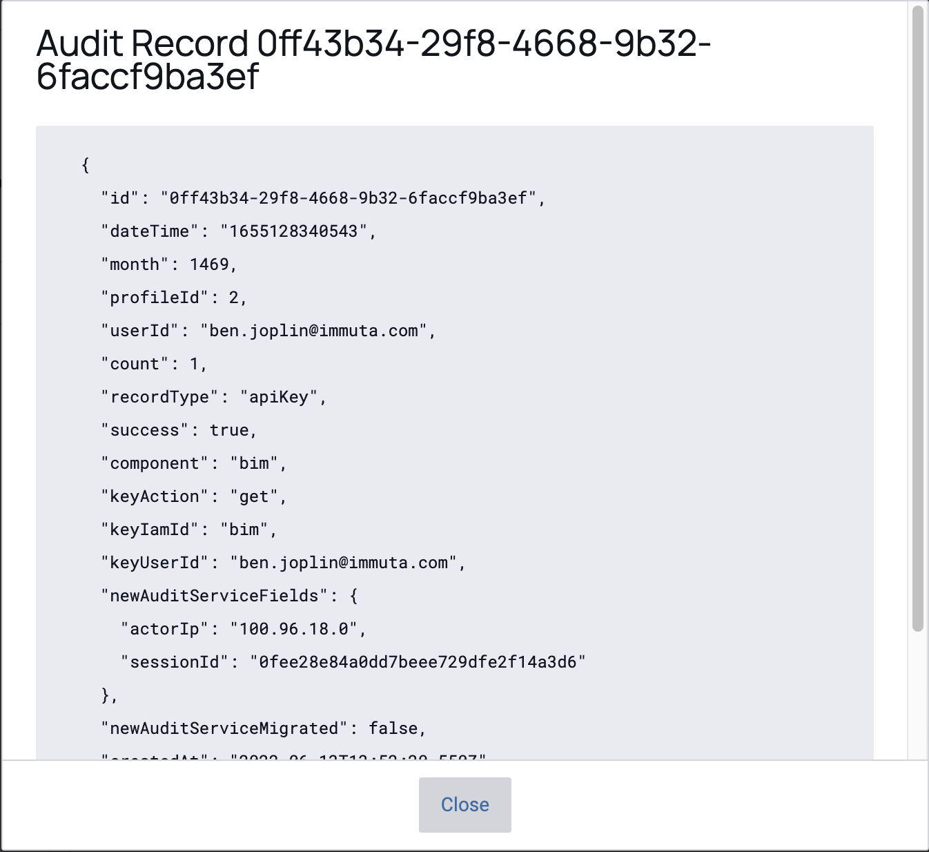 Query Audit Log